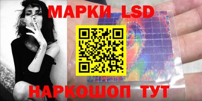 стаф Новодвинск