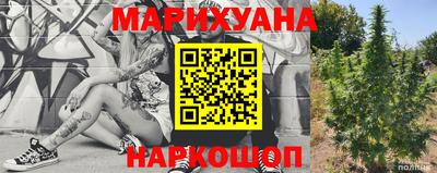 стаф Новодвинск